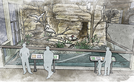 driftless aviary sketch