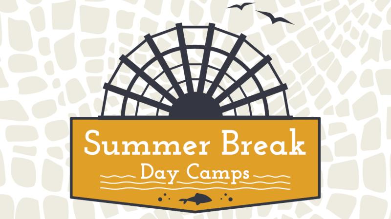 Summer break camp